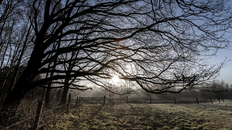 20180304-Doode Bembe 2018-2