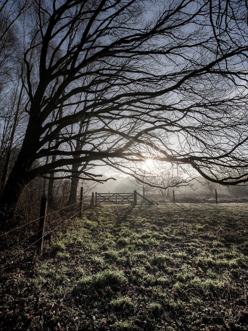 20180304-Doode Bembe 2018